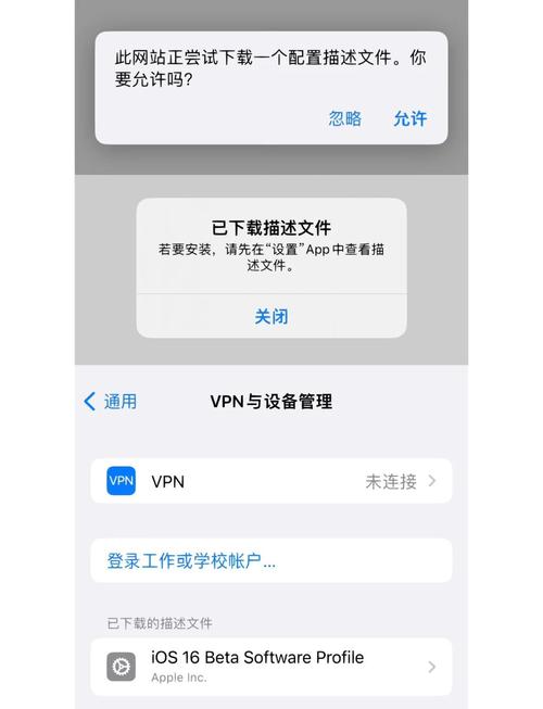 下载完文件后按系统提示安装,这对使用软件有多关键?
